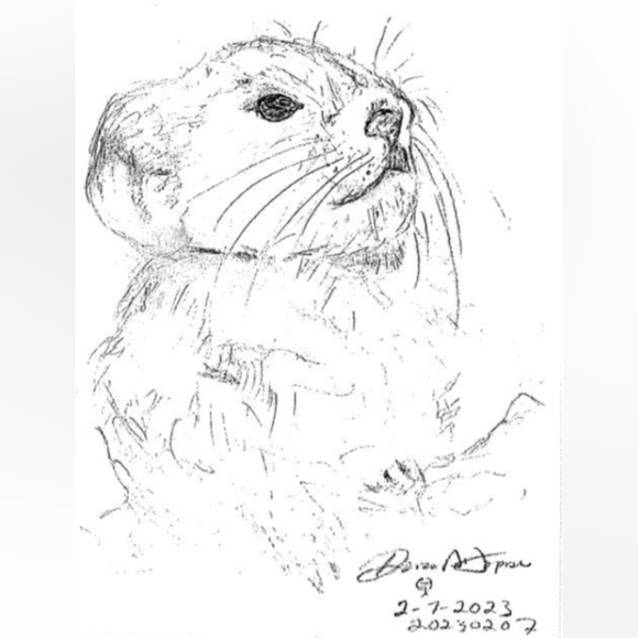 Meet your Posher, Denese - Picture 9 of 16